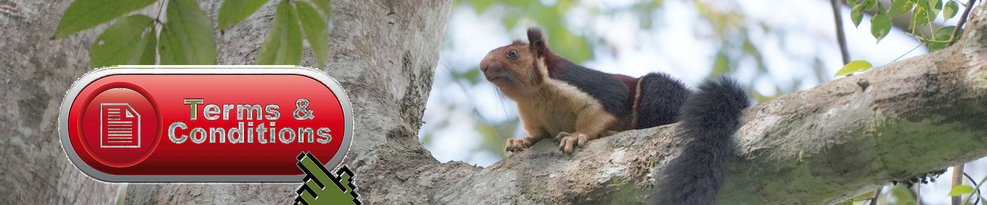 General Terms & Conditions of HG Tours Pvt. Ltd.