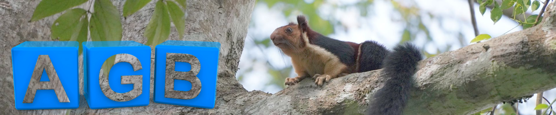 Allgemeine Geschäftsbedingungen von HG Tours Pvt. Ltd.