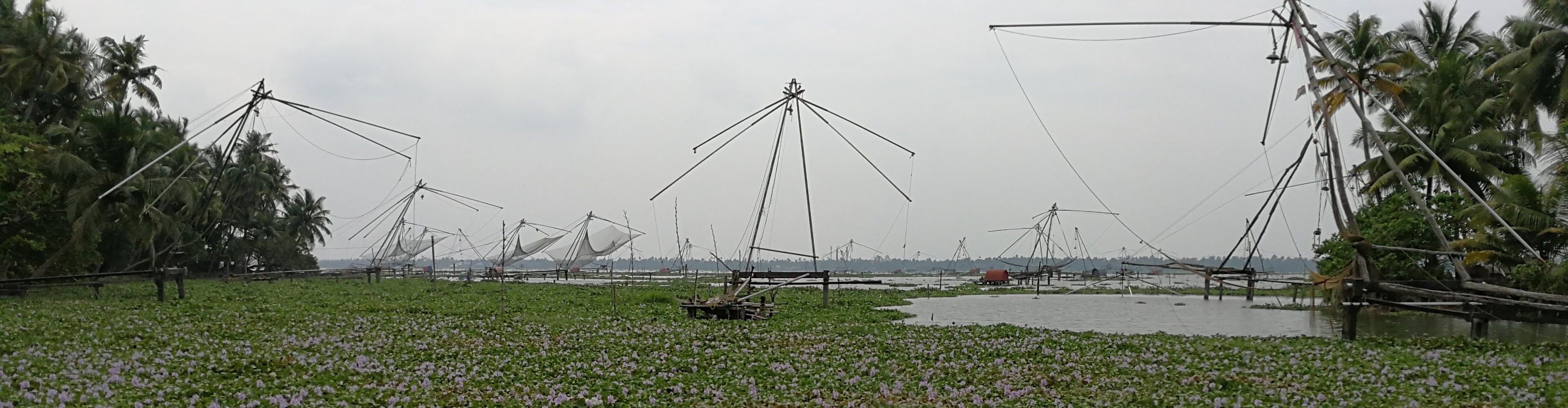 Backwaters bei Kochi, Kerala